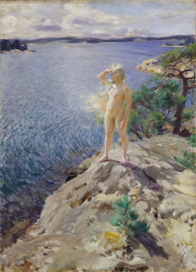 In the Skerries by Anders Leonard Zorn